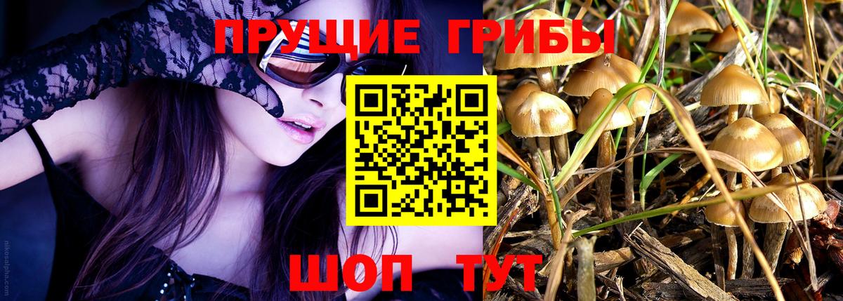 Туймазы  Псилоцибиновые грибы MAGIC MUSHROOMS  где купить   Вход с VPN 