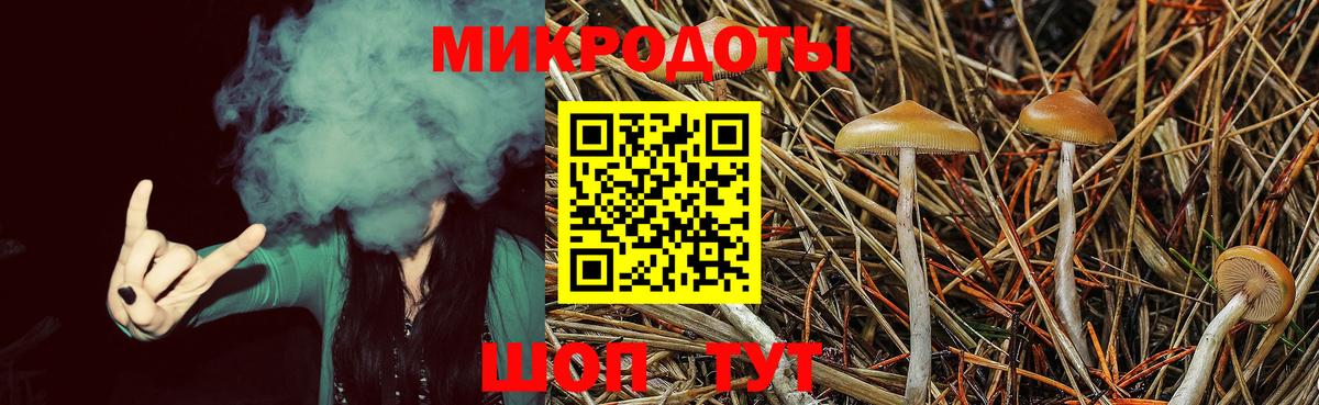 Псилоцибиновые грибы MAGIC MUSHROOMS Туймазы